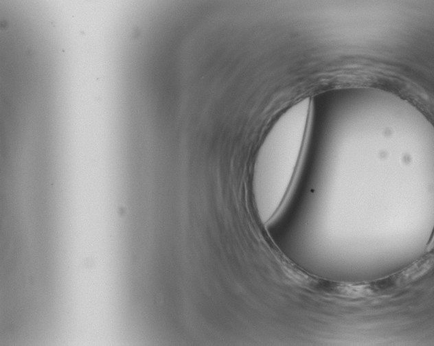 X0000066520333200603170956