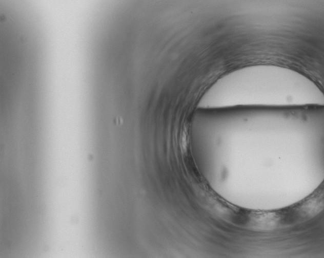 X0000066520334200603170956