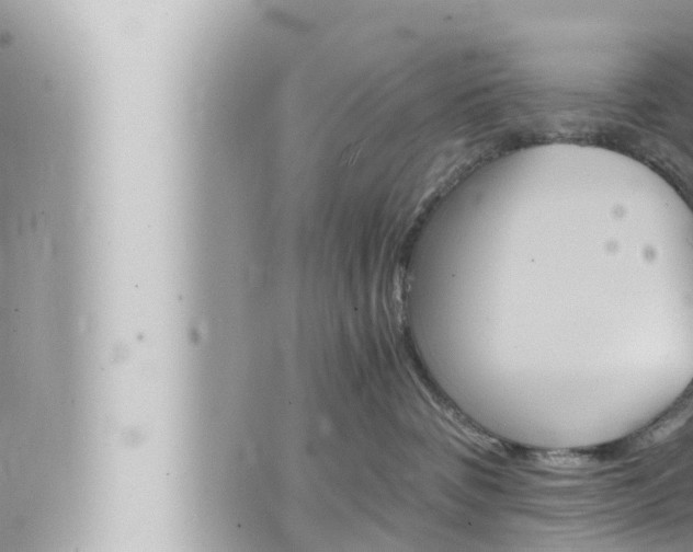 X0000066520336200603170956