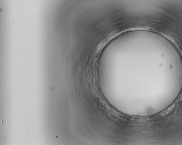 X0000066520337200603170955