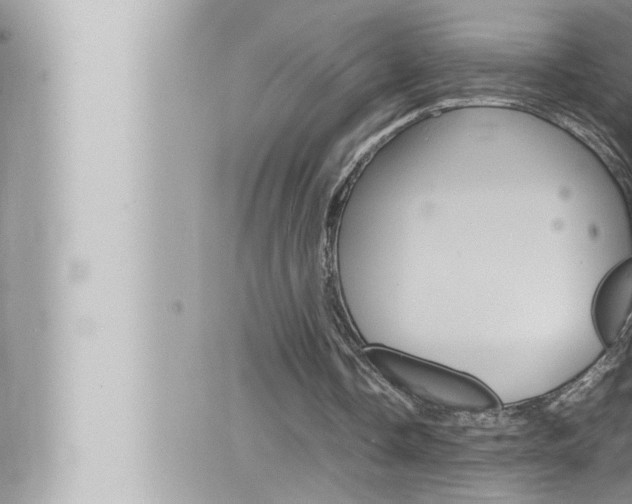 X0000066520338200603170955