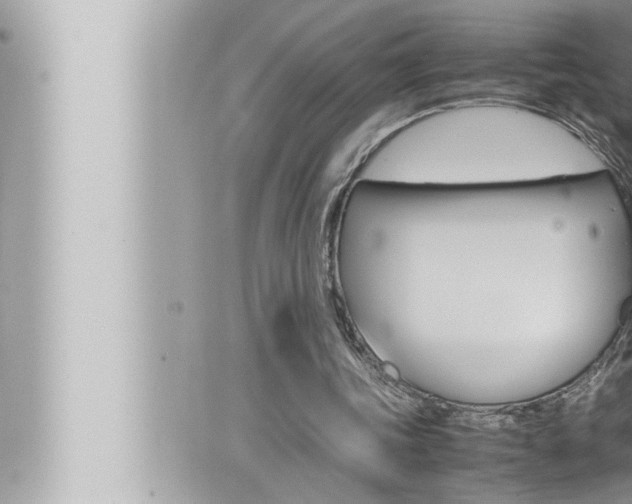 X0000066520339200603170955