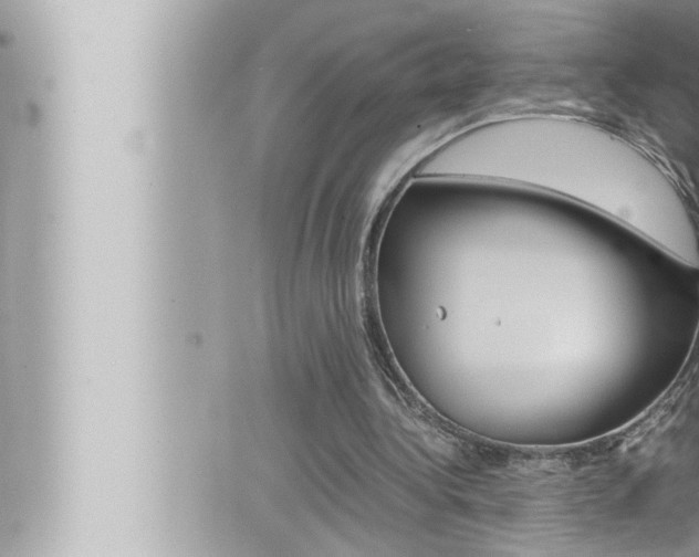 X0000066520340200603170955