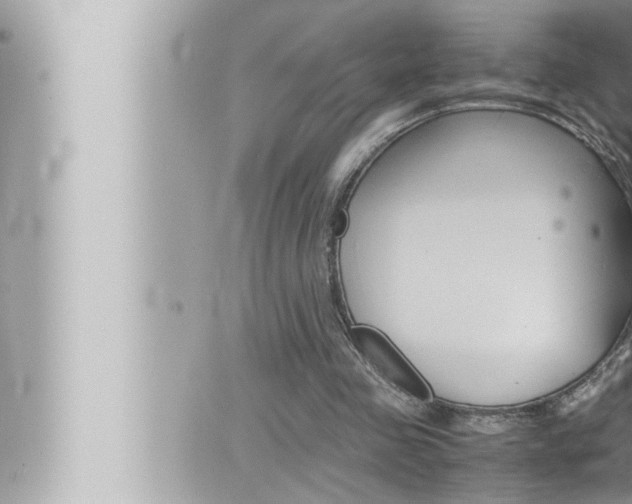 X0000066520341200603170955