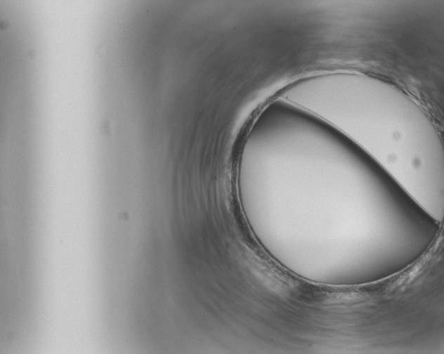 X0000066520342200603170955