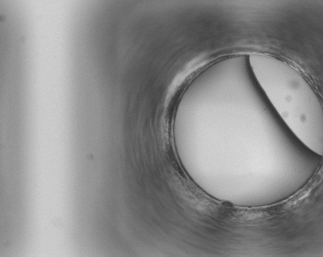 X0000066520343200603170955