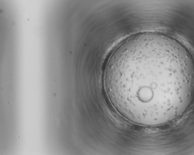 X0000066520346200603170956