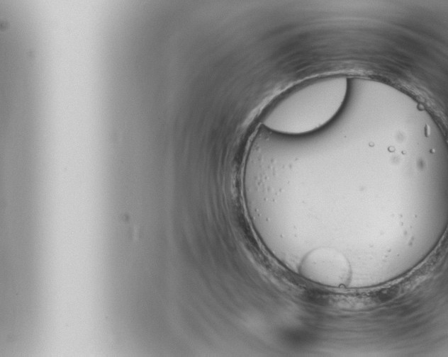 X0000066520347200603170956