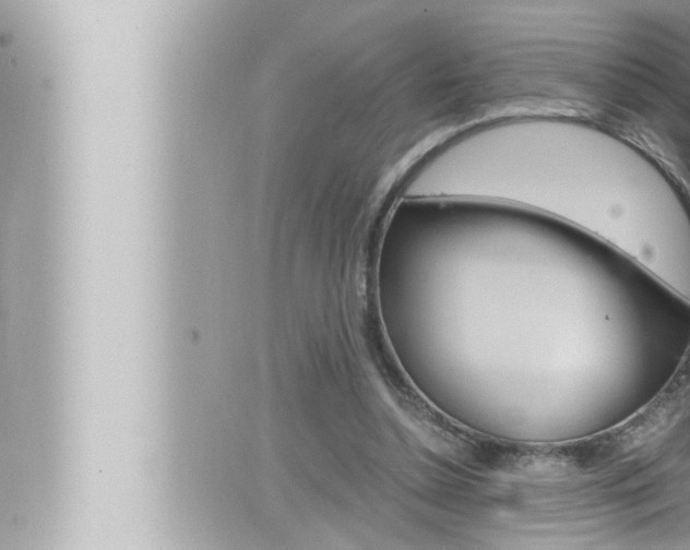 X0000066520348200603170956