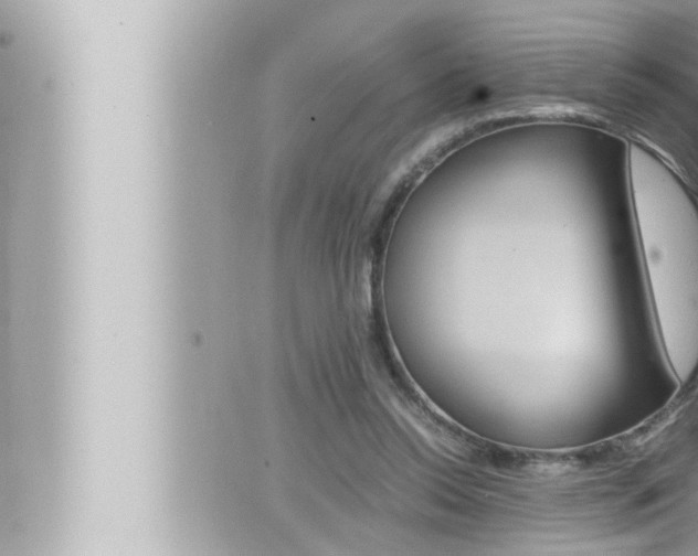 X0000066520350200603170956