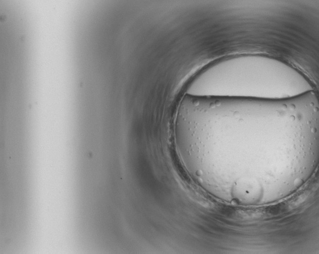 X0000066520351200603170956