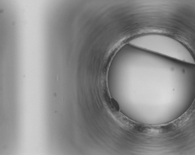 X0000066520352200603170956