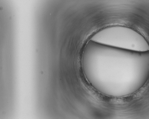 X0000066520354200603170956