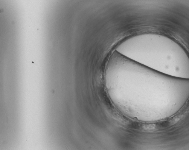 X0000066520355200603170956