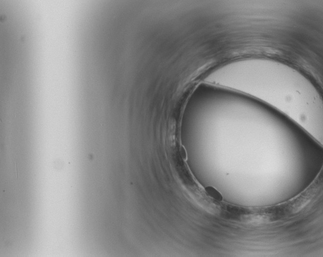 X0000066520356200603170956