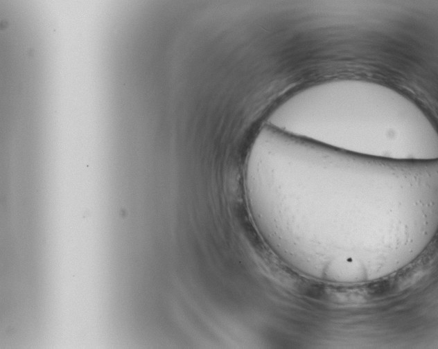 X0000066520359200603170956