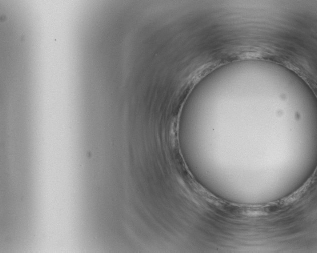 X0000066520360200603170956