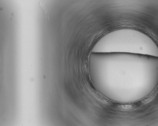 X0000066520361200603170956