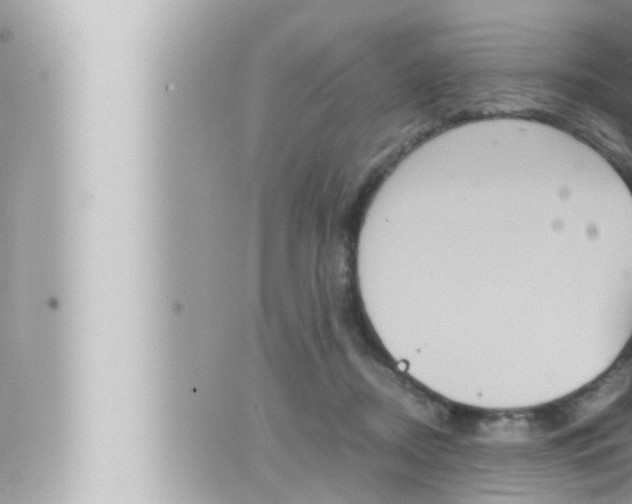 X0000066520362200603170956