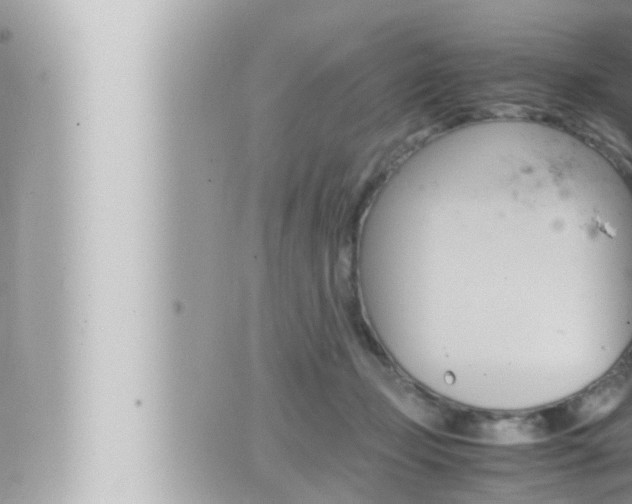 X0000066520365200603170956