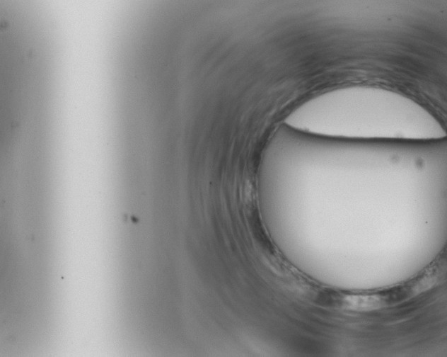 X0000066520371200603170956