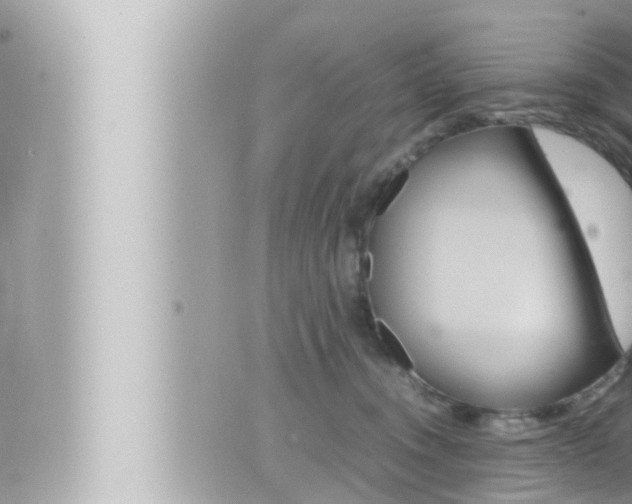 X0000066520372200603170956