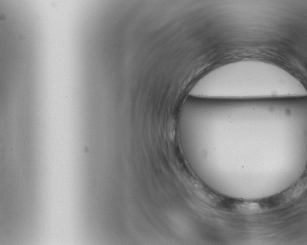 X0000066520374200603170956