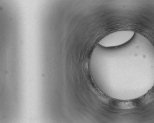 X0000066520375200603170956