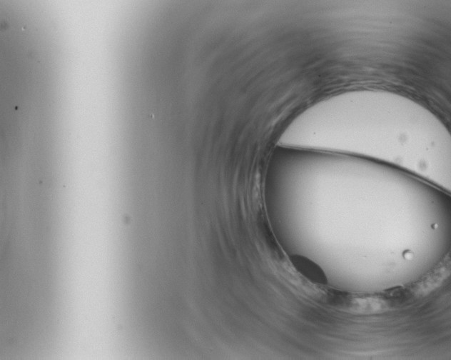 X0000066520376200603170956