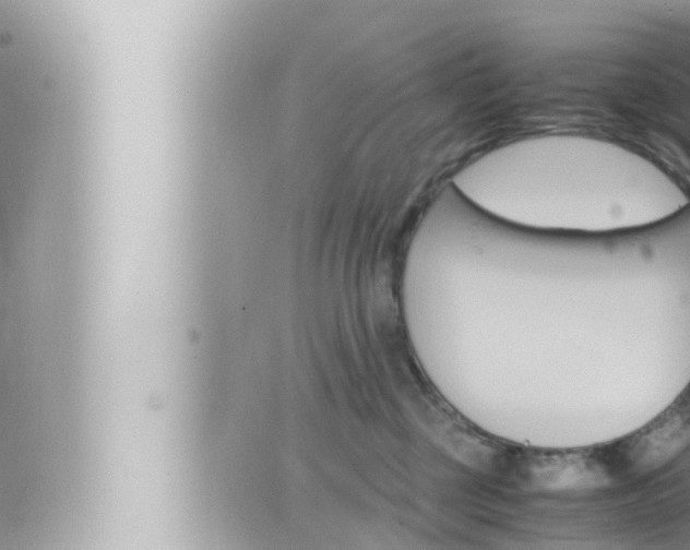 X0000066520377200603170956