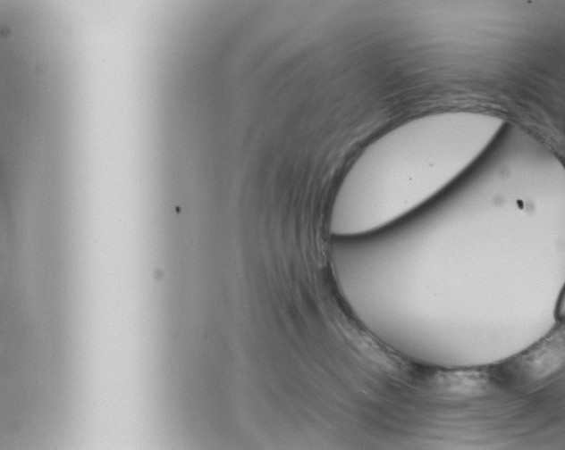 X0000066520378200603170956