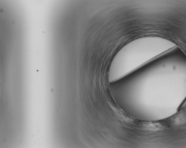 X0000066520379200603170956