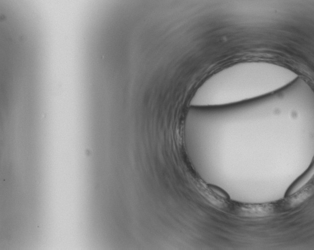 X0000066520381200603170956