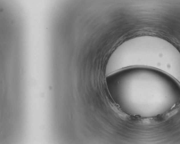 X0000066520382200603170956