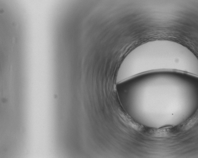 X0000066520384200603170956