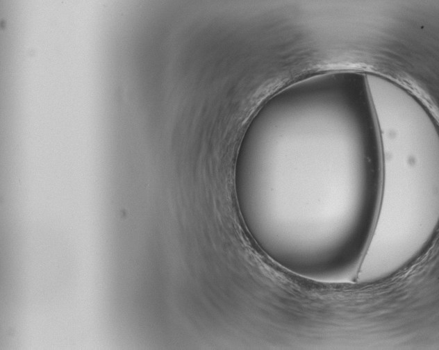 X0000066520385200603170955