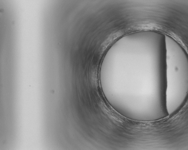 X0000066520386200603170955