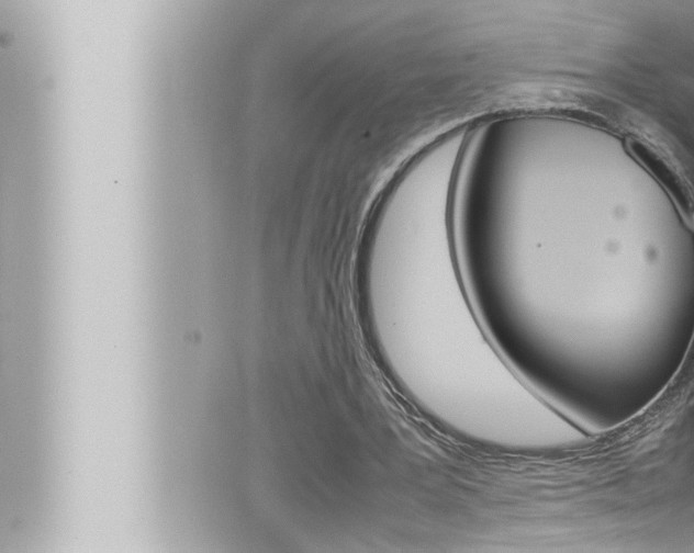 X0000066520387200603170955