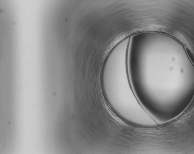 X0000066520389200603170955