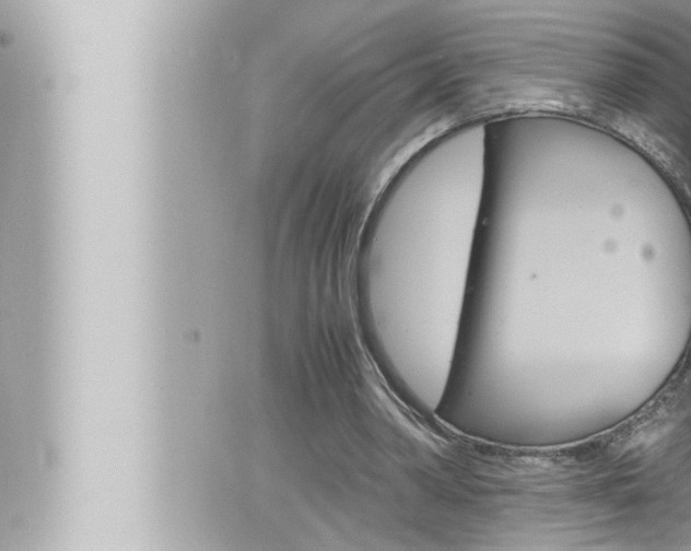 X0000066520390200603170955