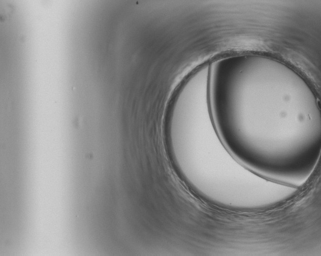 X0000066520391200603170955