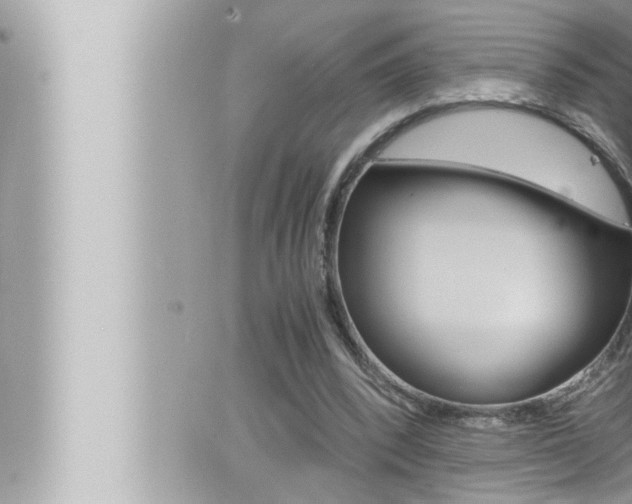 X0000066520392200603170955