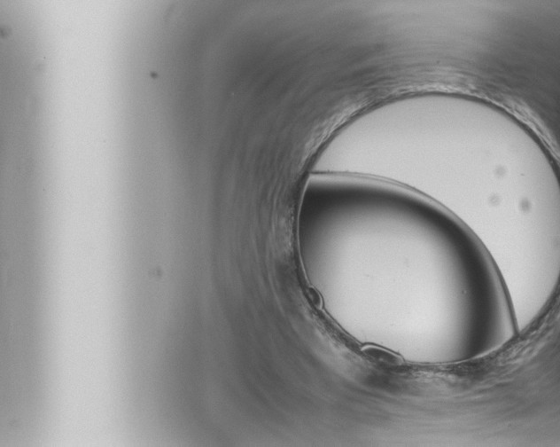 X0000066520393200603170955