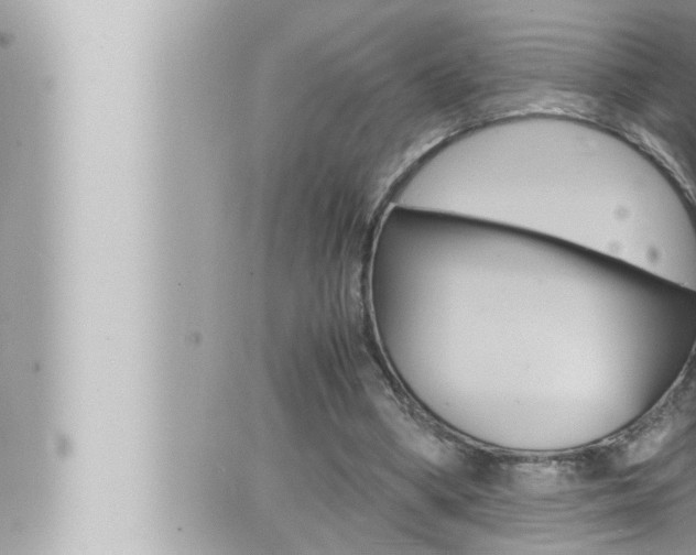 X0000066520394200603170955