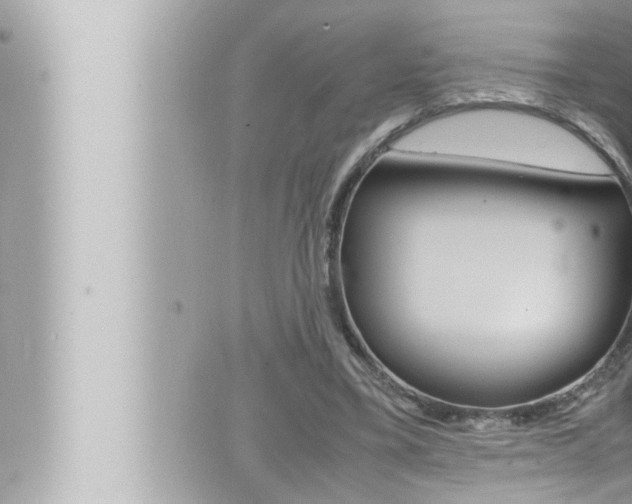 X0000066520395200603170955