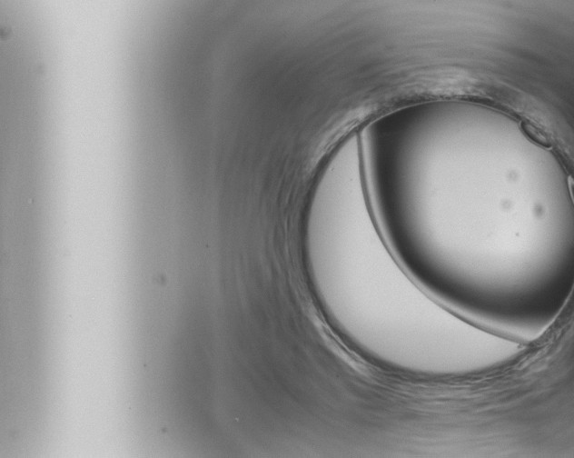 X0000066520397200603170955