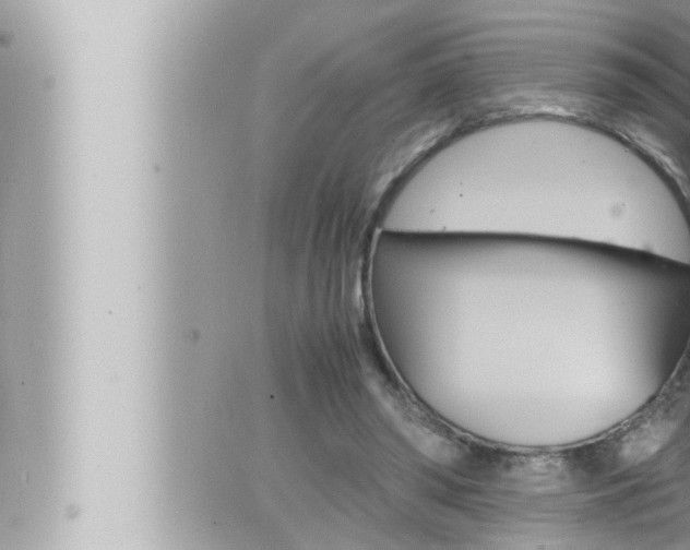 X0000066520398200603170955