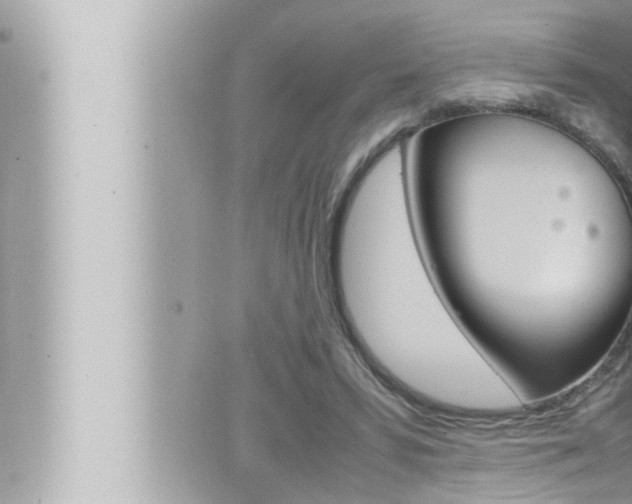 X0000066520399200603170955