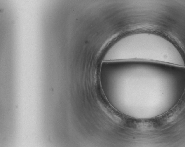 X0000066520400200603170955