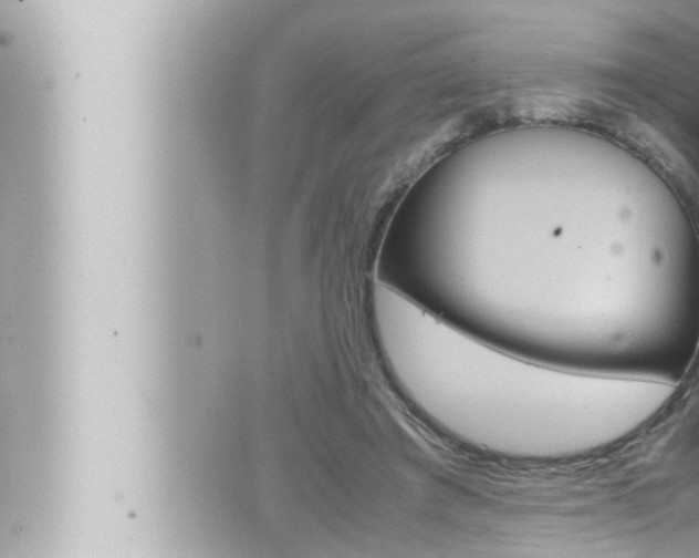 X0000066520401200603170955